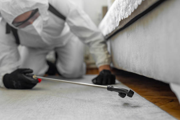 Professional Bed Bug Control technician working in Highland, IN